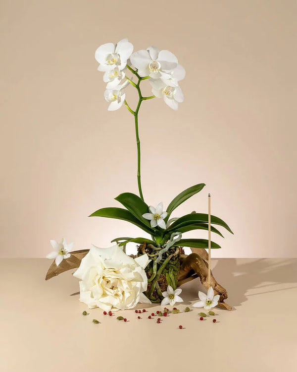 Santal Fleur Scented Candle Refill